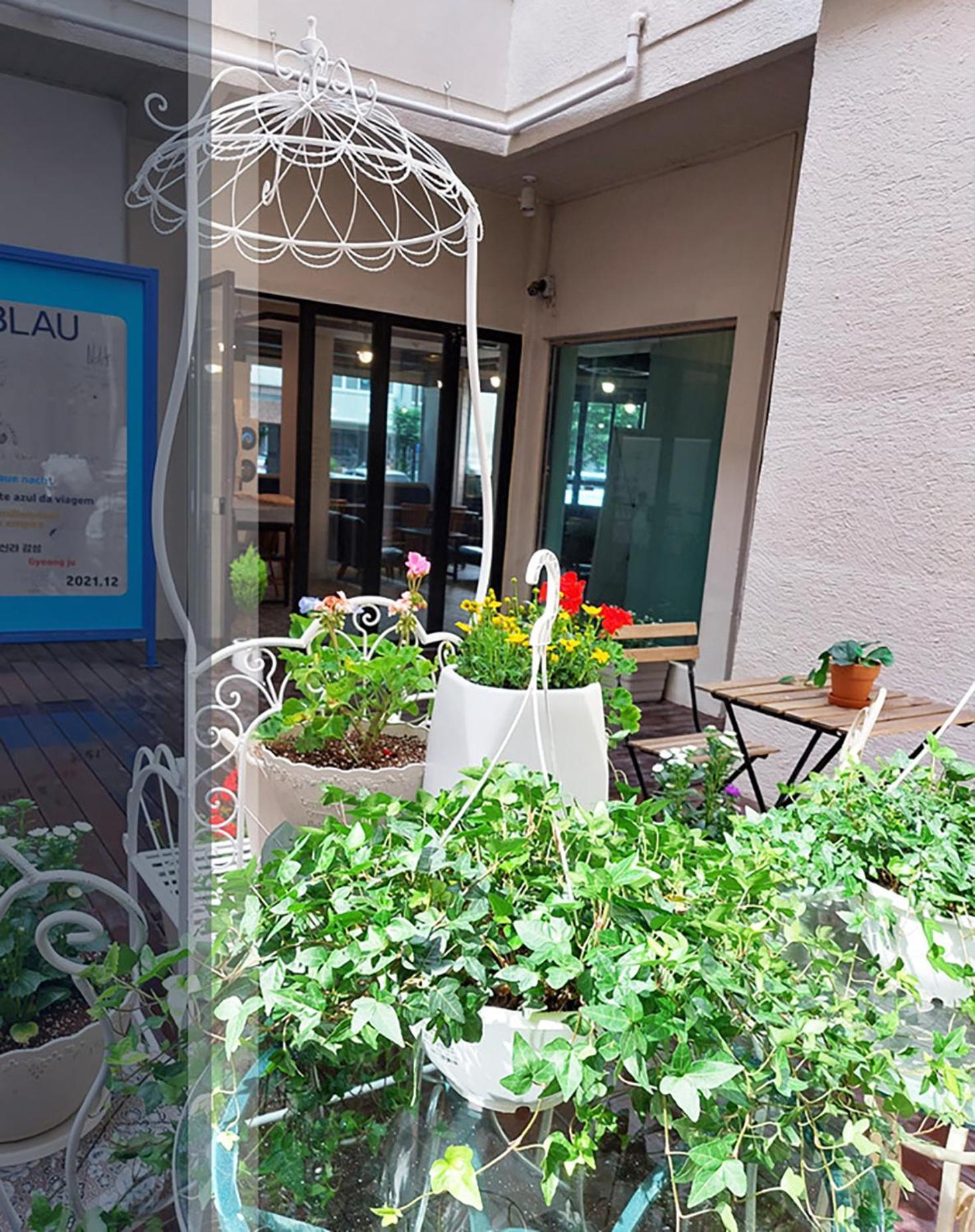 Blau Guesthouse Кьонджу Екстер'єр фото